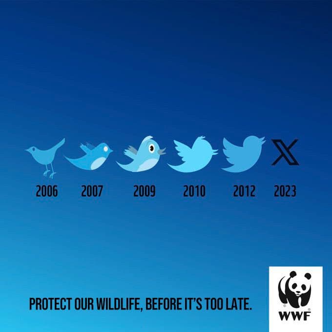 WWF report 2024 - an ad from wwf
