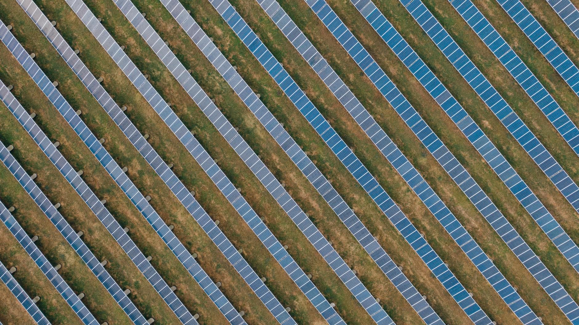 Sustainable Sourcing: 7 Powerful Ways to Turn Your Next Tender into a Sustainability Win