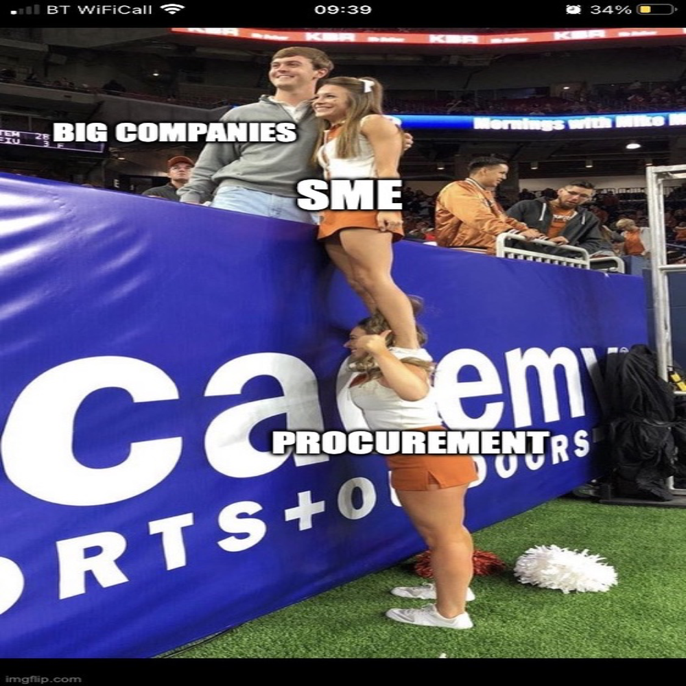 When do small and medium businesses start benefiting from having procurement processes?