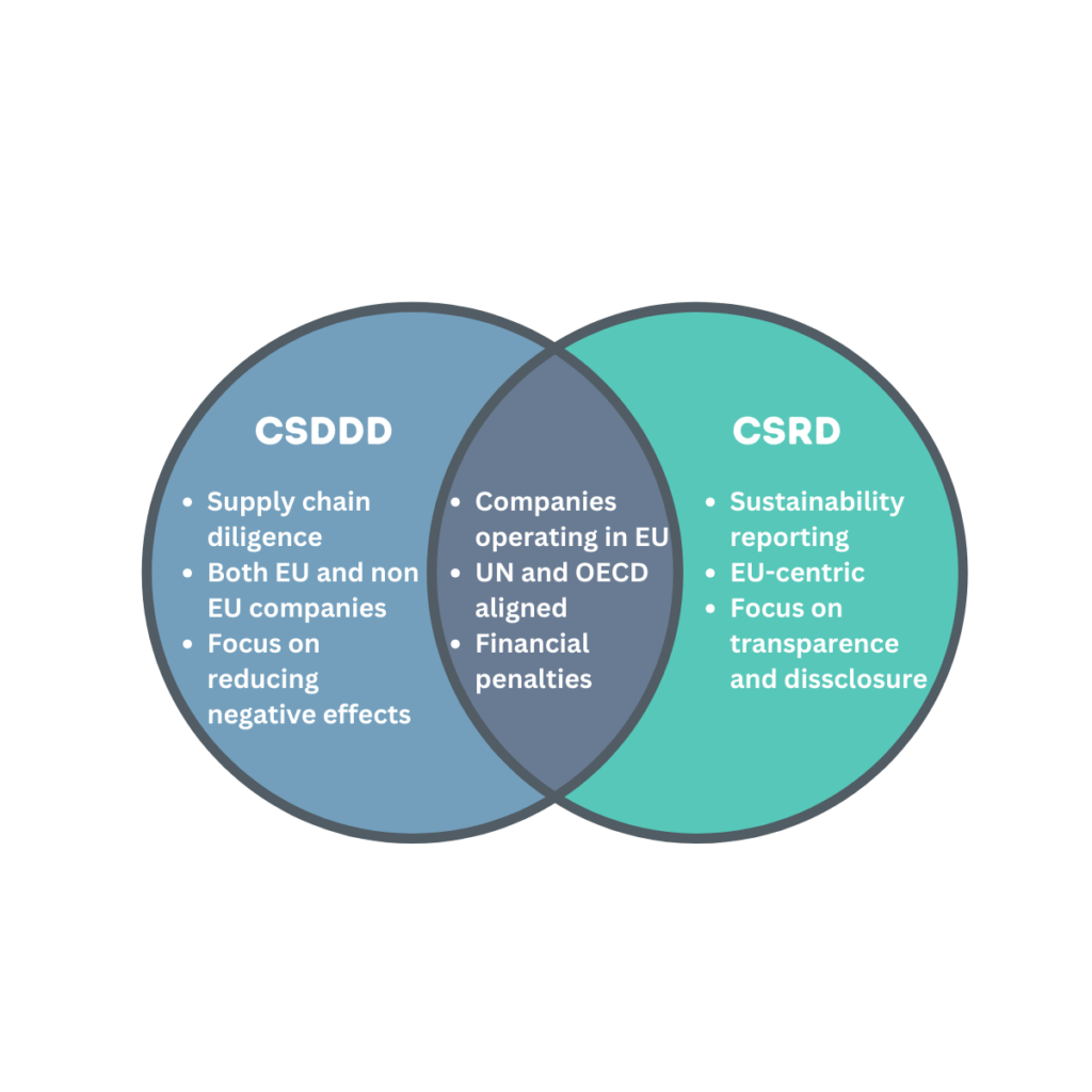 Corporate Sustainability Due Diligence Directive CSDDD and CSRD
